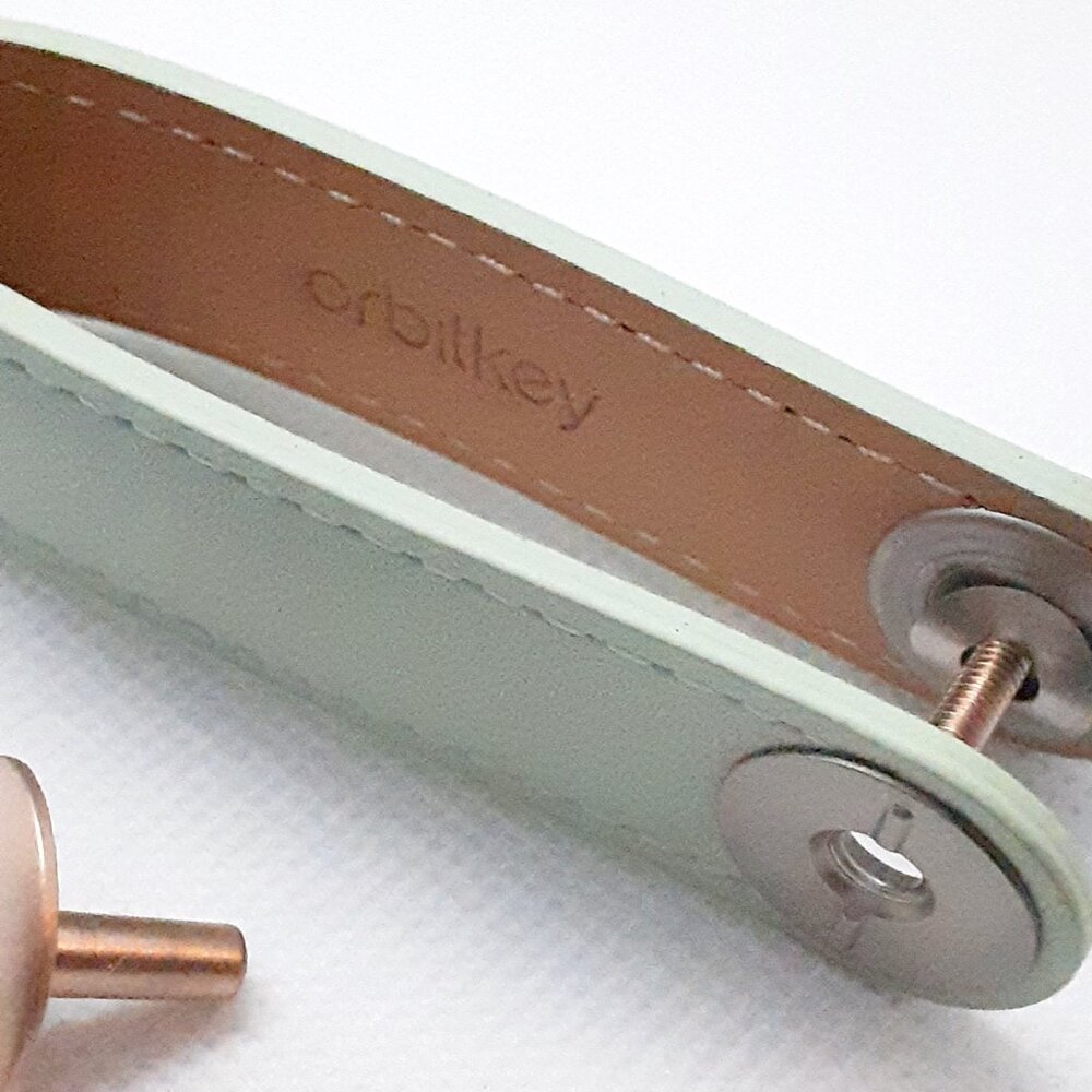 2026 Fall Color ...  2 HOSTS PICKED Mint green leather key holder - Picture 10 of 13